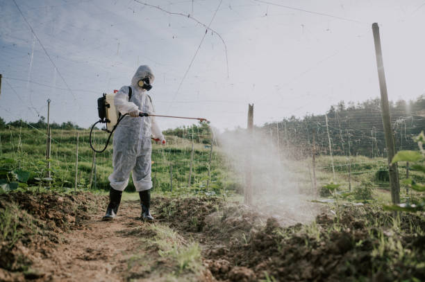Best Termite Control Services  in Farmville, NC